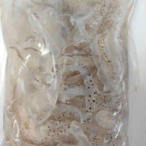 Sứa mặn gói 1.5kg